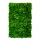 VERTICAL TROPIC zöldfal trópusi növényekkel 1x1 m