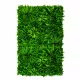 VERTICAL TROPIC zöldfal trópusi növényekkel 1x1 m