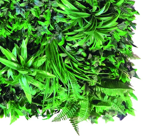 VERTICAL TROPIC zöldfal trópusi növényekkel 1x1 m