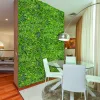 VERTICAL TROPIC zöldfal trópusi növényekkel 1x1 m