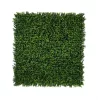 VERTICAL BUXUS zöldfal buxus levelekkel 1x1 m