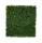 VERTICAL BUXUS zöldfal buxus levelekkel 1x1 m