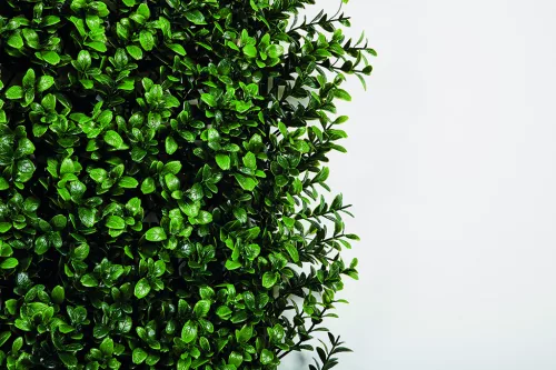 VERTICAL BUXUS zöldfal buxus levelekkel 1x1 m