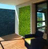 VERTICAL BUXUS zöldfal buxus levelekkel 1x1 m